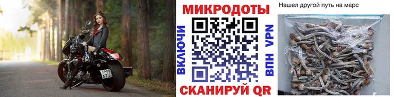 Псилоцибиновые грибы GOLDEN TEACHER  hydra зеркало  Безенчук 
