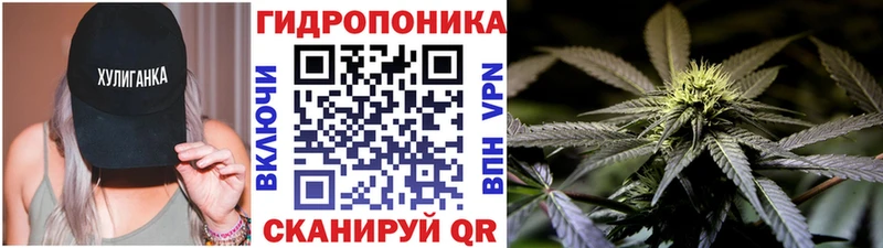 гидра маркетплейс  цена наркотик  Безенчук  Бошки Шишки семена 